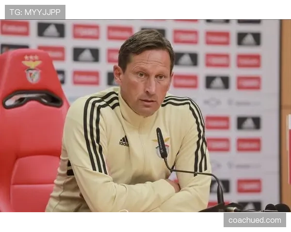 恩佐转会溢价与实战贡献的落差解析