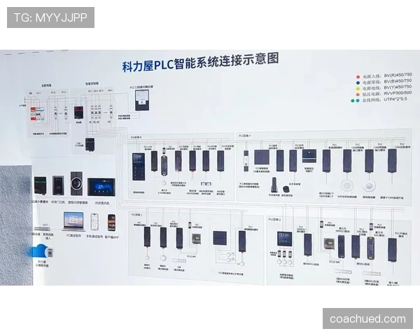 特里与马尔蒂尼防线深度分化及体系依赖转移趋势